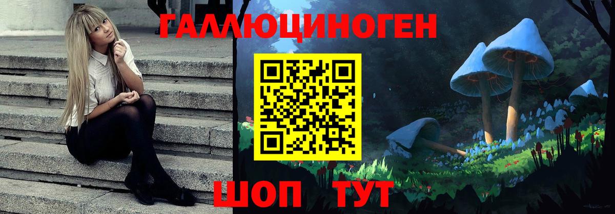 Псилоцибиновые грибы GOLDEN TEACHER Россия